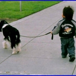 Oreo and Kento go for a walk.... what a Wells trained dog!