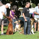 Socialization in the Reactive Dog Group